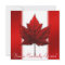 Canada Invitations Personalized Maple Leaf CN RSVP