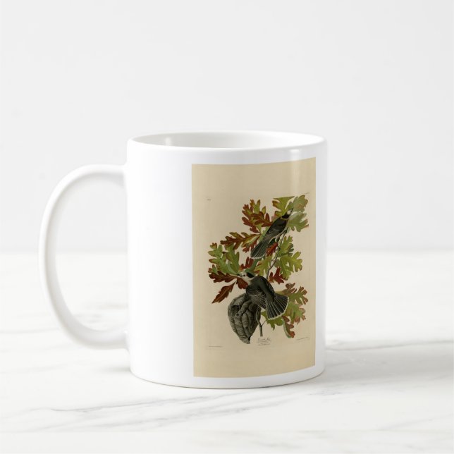 Canada Jay (Grey Jay) - Audubon's Birds of America Coffee Mug (Left)
