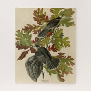 Canada Jay (Grey Jay) - Audubon's Birds of America Jigsaw Puzzle