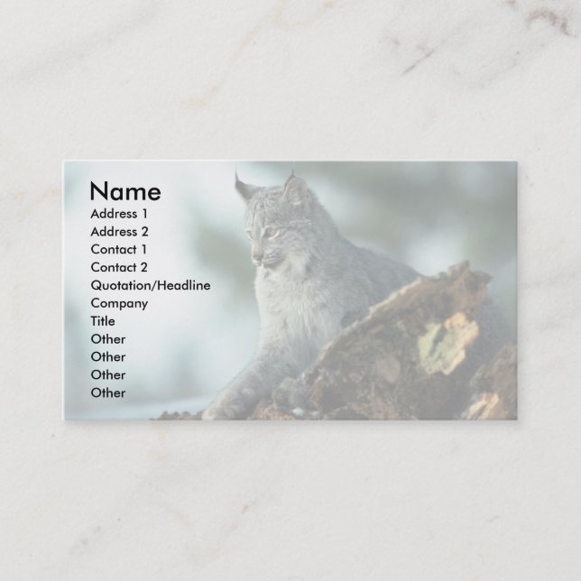 Canada lynx business card (Front)
