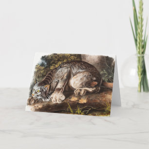 Canada Lynx (Lynx Canadensis) Illustration Card