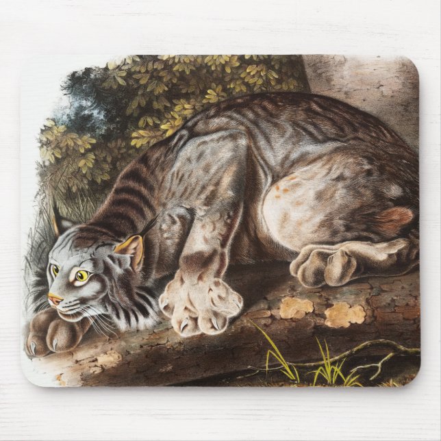 Canada Lynx (Lynx Canadensis) Illustration Mouse Pad (Front)