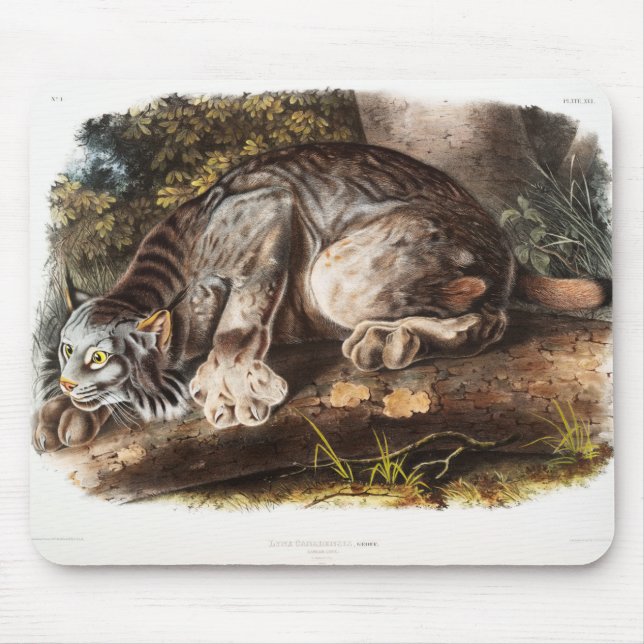 Canada Lynx Mouse Pad (Front)