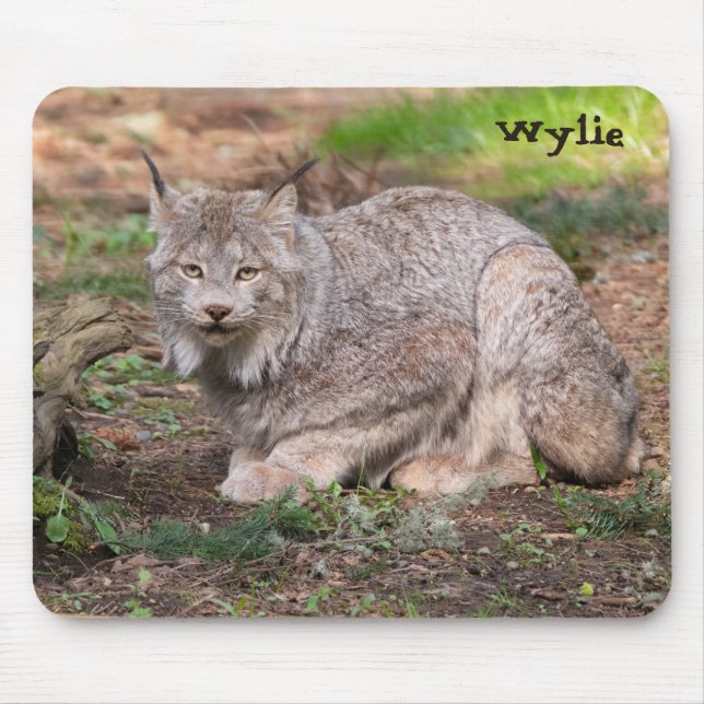 Canada Lynx Nature Lover Custom Name Mouse Pad (Front)