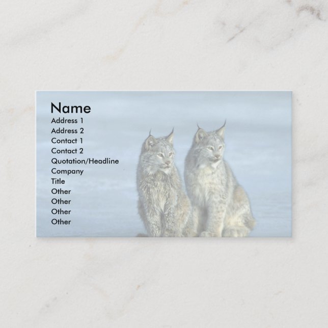 Canada lynx, winter, pair by icy stream business card (Front)