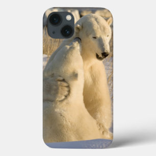 Canada, Manitoba, Hudson Bay, Churchill. iPhone 13 Case
