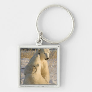 Canada, Manitoba, Hudson Bay, Churchill. Keychain