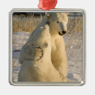 Canada, Manitoba, Hudson Bay, Churchill. Metal Ornament