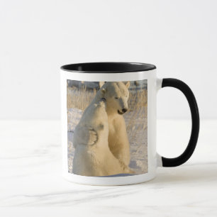 Canada, Manitoba, Hudson Bay, Churchill. Mug