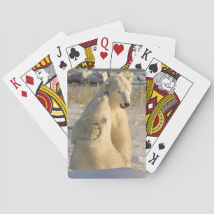 Canada, Manitoba, Hudson Bay, Churchill. Playing Cards