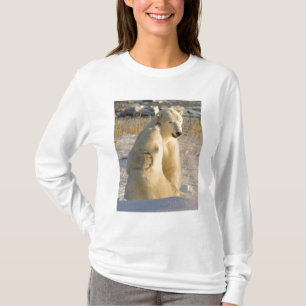 Canada, Manitoba, Hudson Bay, Churchill. T-Shirt