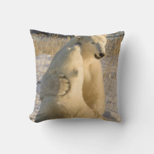 Canada, Manitoba, Hudson Bay, Churchill. Throw Pillow