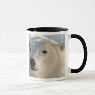Canada, Manitoba, Hudson Bay Polar Bear Mug