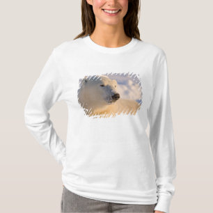Canada, Manitoba, Hudson Bay Polar Bear T-Shirt