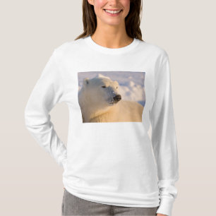 Canada, Manitoba, Hudson Bay Polar Bear T-Shirt