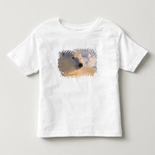 Canada, Manitoba, Hudson Bay Polar Bear Toddler T-shirt