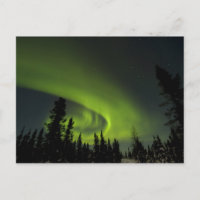 Canada, Manitoba. View of aurora borealis and