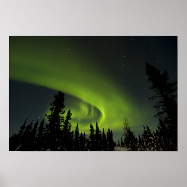 Canada, Manitoba. View of aurora borealis and Poster (Front)