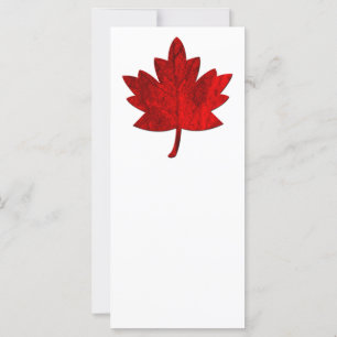 Canada-Maple Leaf by Shirley Taylor