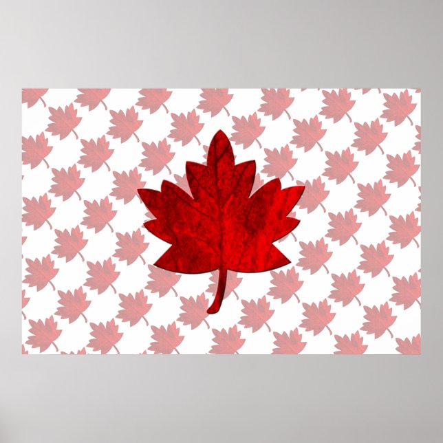 Canada-Maple Leaf by Shirley Taylor Poster (Front)