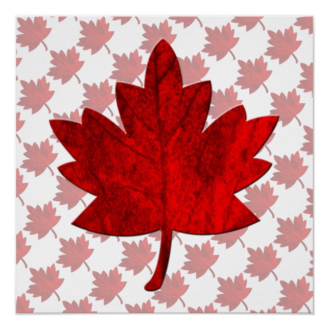 Canada-Maple Leaf by Shirley Taylor Poster (Front)