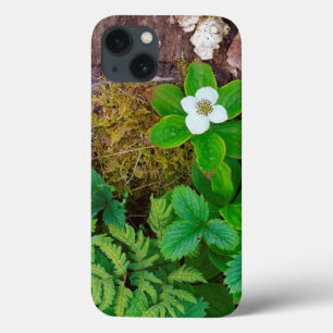 Canada, New Brunswick, , 2 iPhone 13 Case
