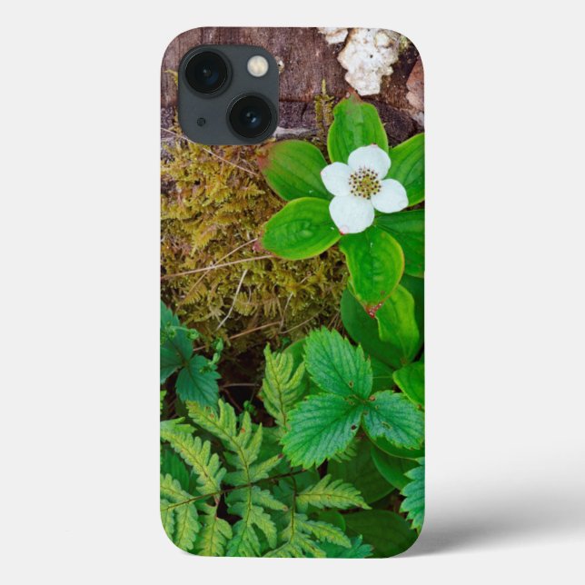 Canada, New Brunswick, ,  2 Case-Mate iPhone Case (Back)