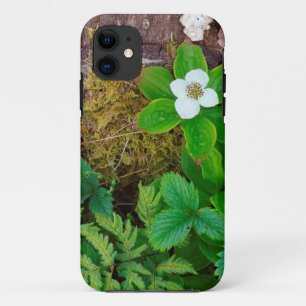 Canada, New Brunswick, , 2 iPhone 11 Case