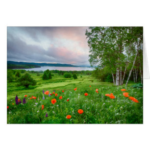 Canada, New Brunswick, , 3