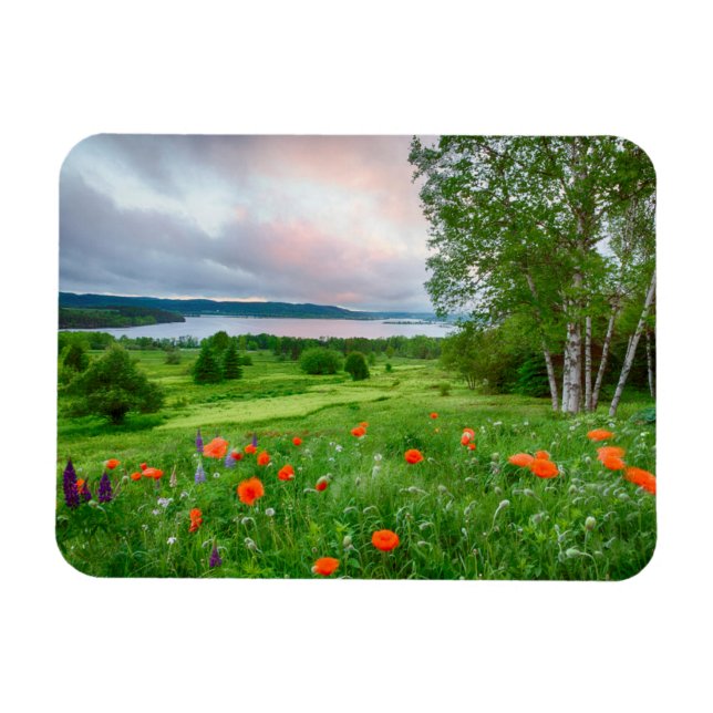 Canada, New Brunswick, ,  3 Magnet (Horizontal)