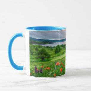 Canada, New Brunswick, ,  3 Mug