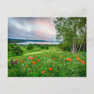 Canada, New Brunswick, ,  3 Postcard