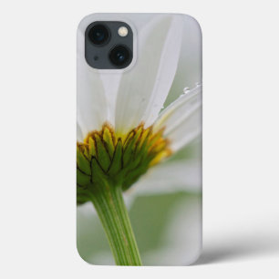 Canada, New Brunswick, iPhone 13 Case