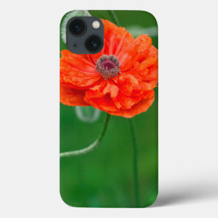 Canada, New Brunswick, , iPhone 13 Case