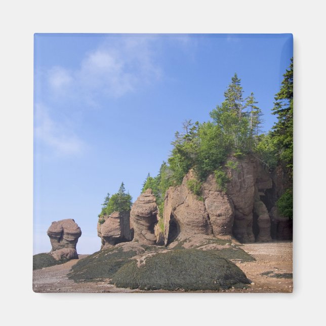 Canada, New Brunswick, Hopewell Cape, Bay of Magnet (Front)