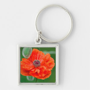Canada, New Brunswick, , Keychain