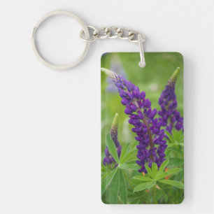 Canada, New Brunswick, . Keychain