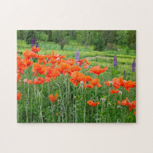 Canada, New Brunswick, . Landscape Jigsaw Puzzle