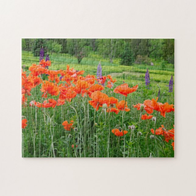 Canada, New Brunswick, . Landscape Jigsaw Puzzle (Horizontal)