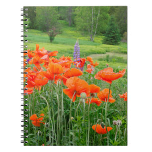 Canada, New Brunswick, . Landscape Notebook