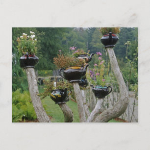 Canada, New Brunswick, St Andrews. Teapots Postcard
