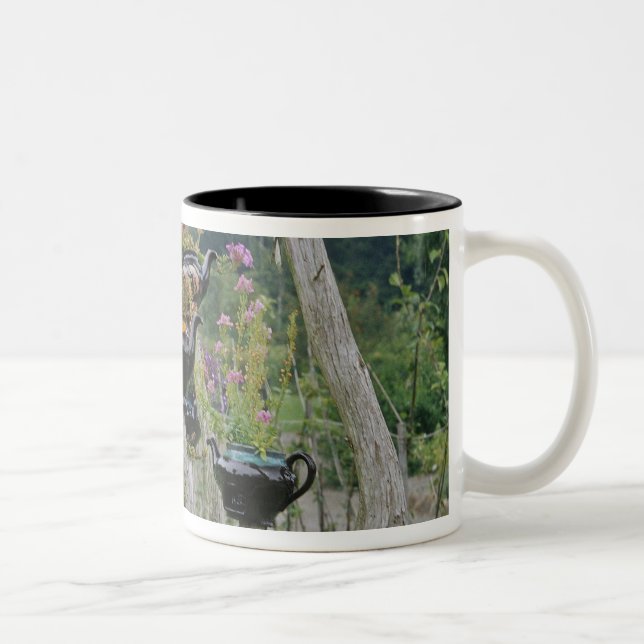 Canada, New Brunswick, St Andrews. Teapots Two-Tone Coffee Mug (Right)