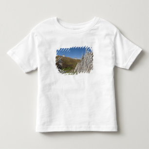 Canada, Newfoundland and Labrador, L'Anse Aux 2 Toddler T-shirt