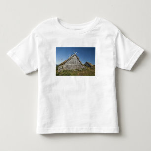 Canada, Newfoundland and Labrador, L'Anse Aux 3 Toddler T-shirt