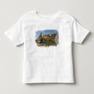 Canada, Newfoundland and Labrador, L'Anse Aux Toddler T-shirt
