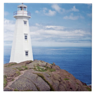 Canada, Newfoundland, Cape Spear National Tile