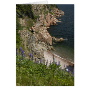 Canada, Nova Scotia, Cape Breton Island, Cabot 3