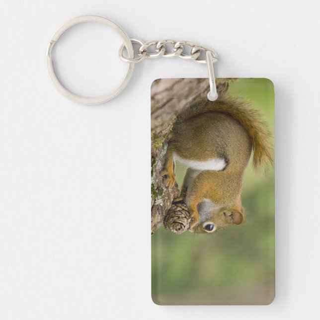 Canada, Nova Scotia, Halifax. Public Gardens, Keychain (Front)