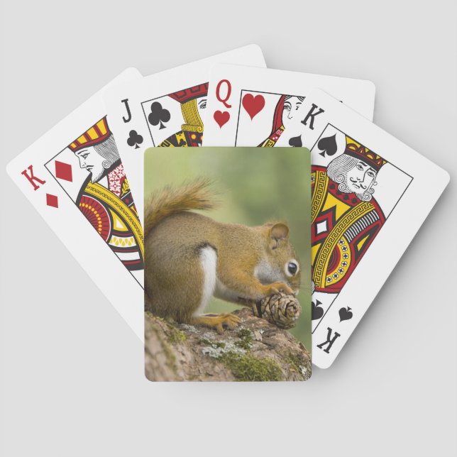 Canada, Nova Scotia, Halifax. Public Gardens, Playing Cards (Back)