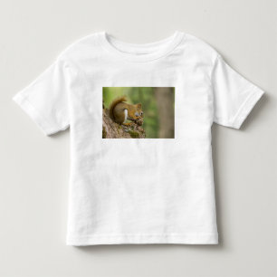 Canada, Nova Scotia, Halifax. Public Gardens, Toddler T-shirt